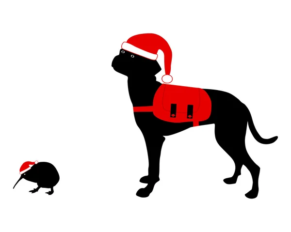 Hond en kiwi in kerst kleding — Stockfoto