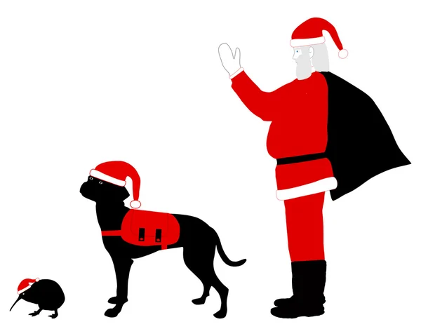 Собака Санта-Клауса и киви, одетые в Шри — стоковое фото