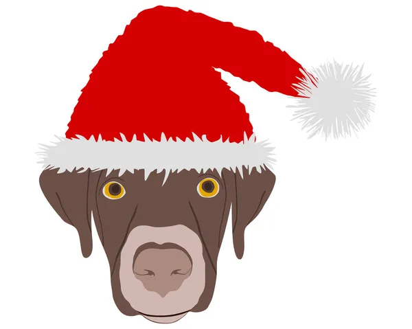 Lachender Hund mit roten Weihnachtsmannmützen — Stockfoto