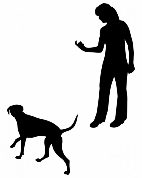 Opleiding (gehoorzaamheid) van de hond: opdracht: komen! — Stockfoto