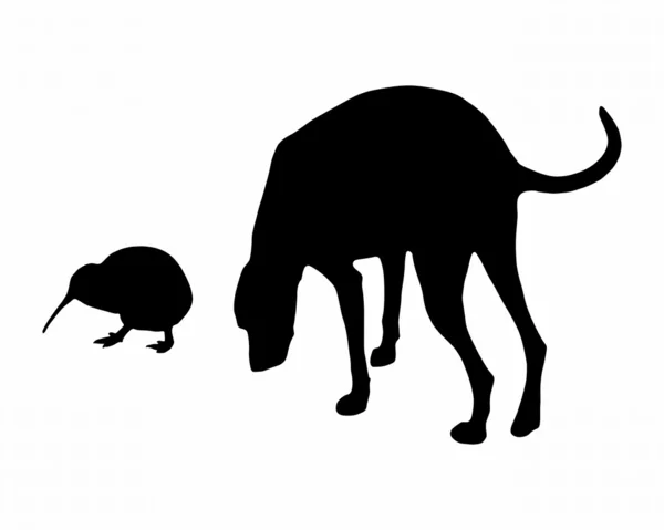 Dog and kiwi — Stock Photo, Image