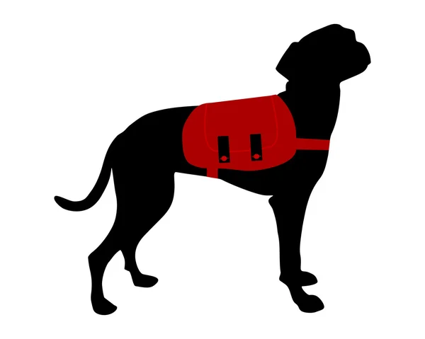 背囊的狗 — 图库照片