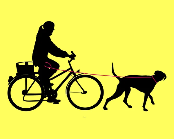 Femme à vélo avec chien en laisse — Photo