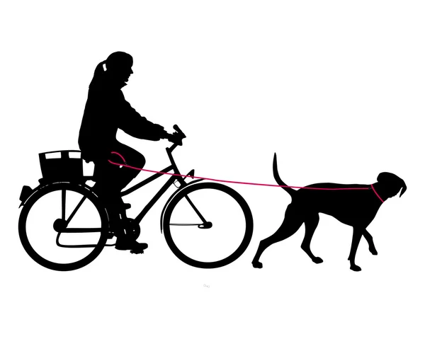 Жінка на велосипеді з собакою на повідку — стокове фото
