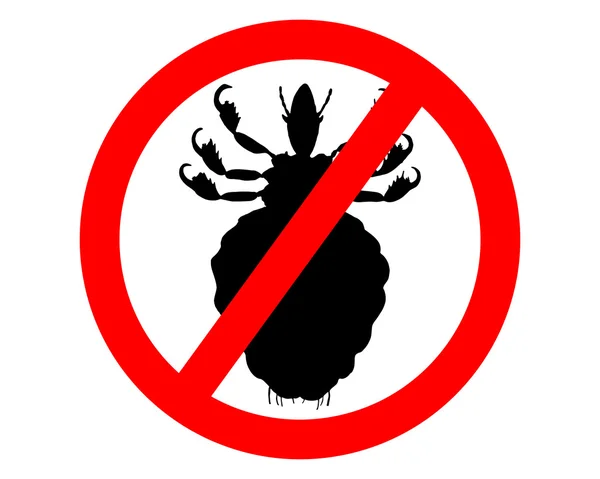 Prohibition sign for lice on white backg — Stock Photo, Image