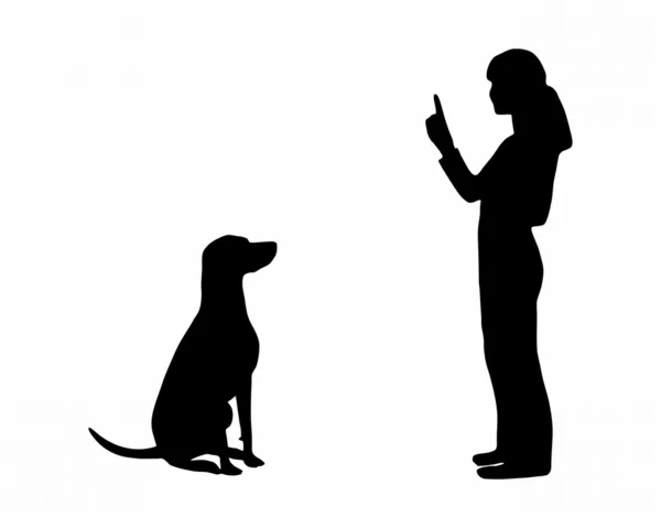 Kutya képzés (engedelmesség): parancs: ül — Stock Fotó