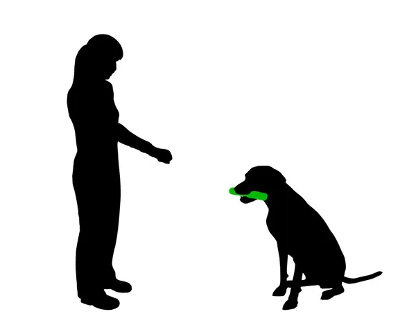 Treinamento de cães (obediência): espera de comando — Fotografia de Stock