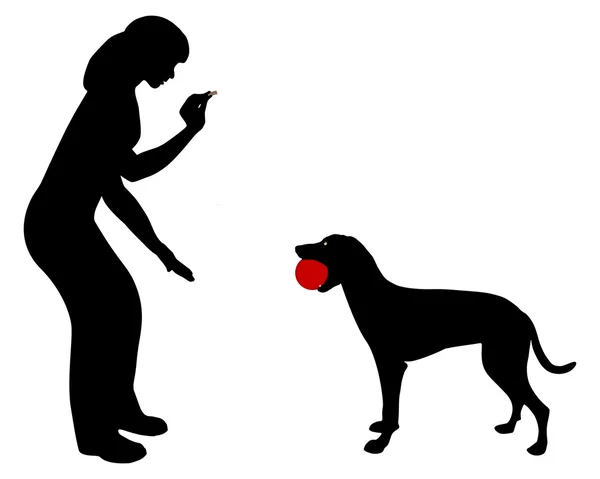 Hond gehoorzaamheid: command handel! — Stockfoto