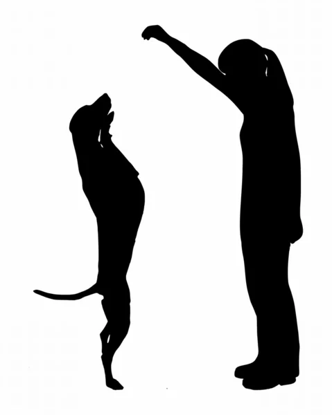 Dog training (obedience): command: up — Stock Photo, Image
