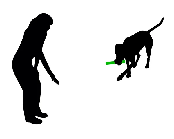 Treinamento do cão (obediência): comando: trazer — Fotografia de Stock