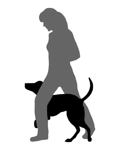 Beweglichkeit des Hundes (Gehorsam): Befehl: rennen — Stockfoto