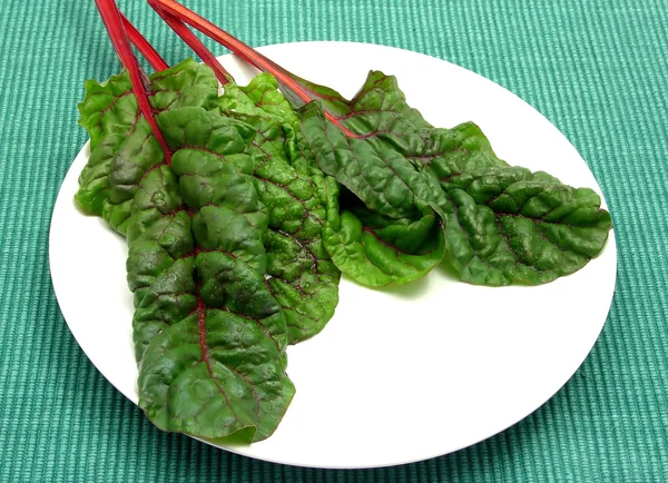 Four red stemmed chard leaves on white p — Stock Photo, Image