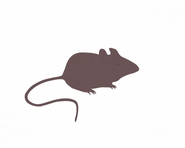 マウス — ストック写真