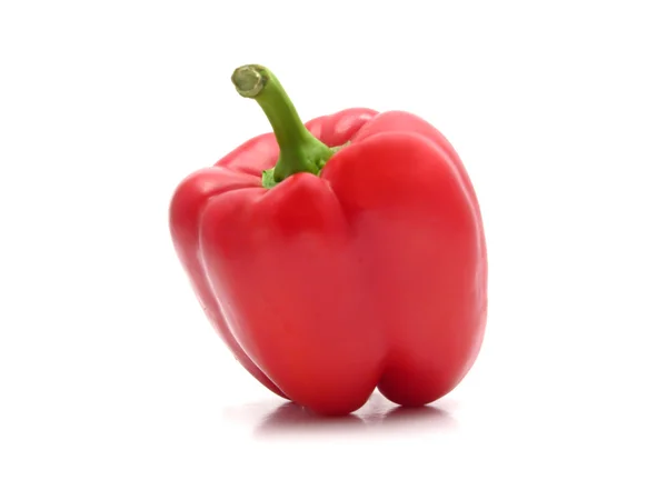 Röd paprika isolerad på en vit bak — Stockfoto