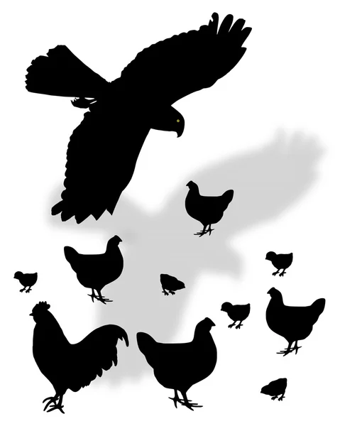 Rovfågel söker mat hög ab — Stockfoto