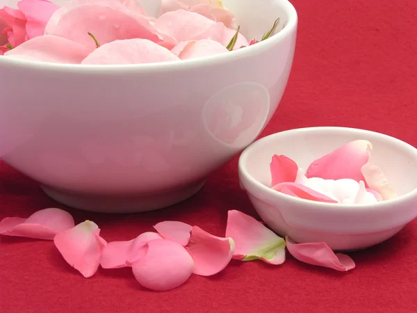 Růžové růže a smetana v bílé misky — Stock fotografie