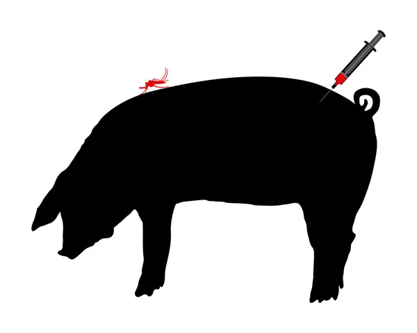 Świnia dostaje szczepień przeciwko chorobie — Zdjęcie stockowe