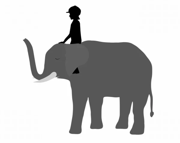 Chica está montando en un elefante — Foto de Stock