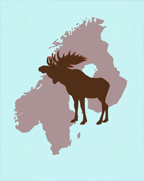 Elk dengan topi Natal pada tanduk nya i — Stok Foto