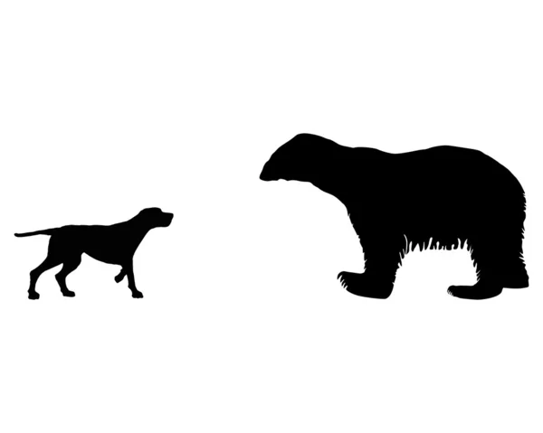 Два животных, сеттер и ледяной медведь встретиться фа — стоковое фото