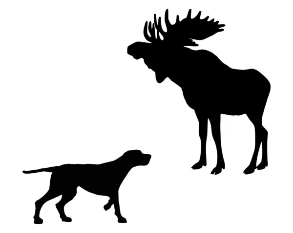Dois animais, cão de caça e alce encontram o rosto — Fotografia de Stock