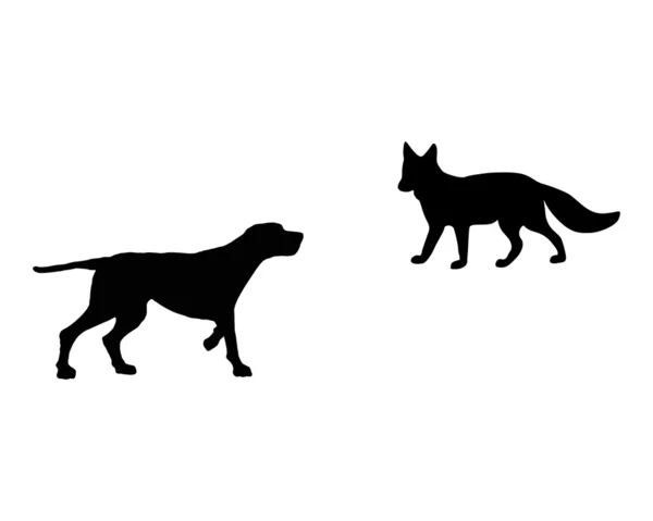 Tvář setkávají dvě zvířata, setr a fox — Stock fotografie