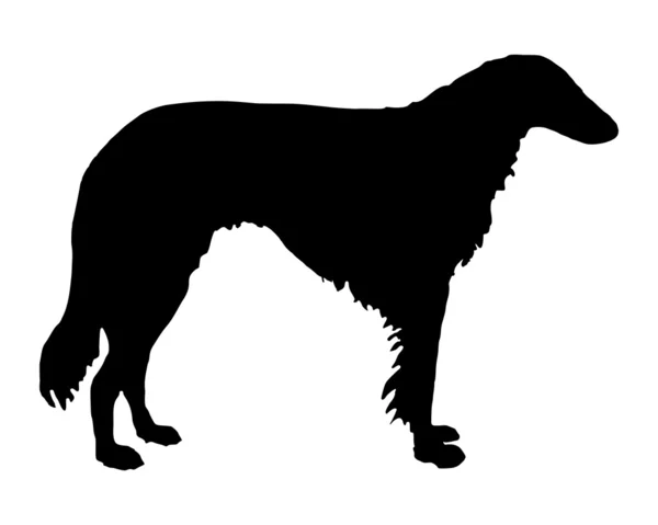 The black silhouette of a longhaired Sig — Stock Photo, Image