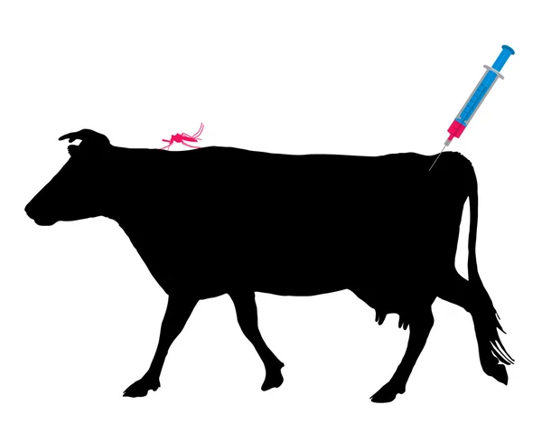 Cow gets an immunization against a disea — Stock Photo, Image