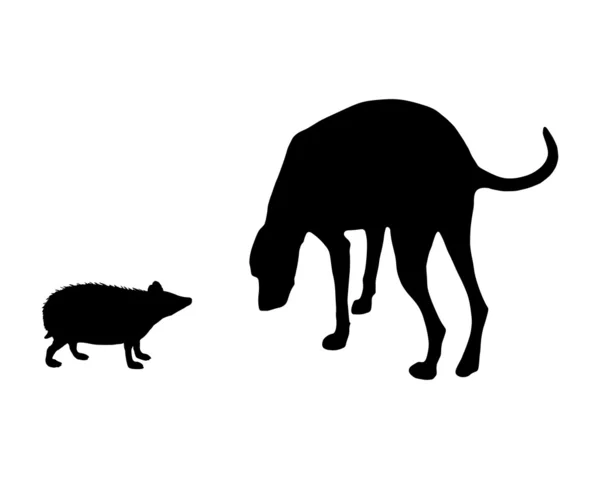 The black silhouettes of dog and hedgeho — Stock Photo, Image