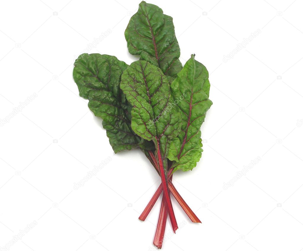Four red stemmed chard leaves crossed on