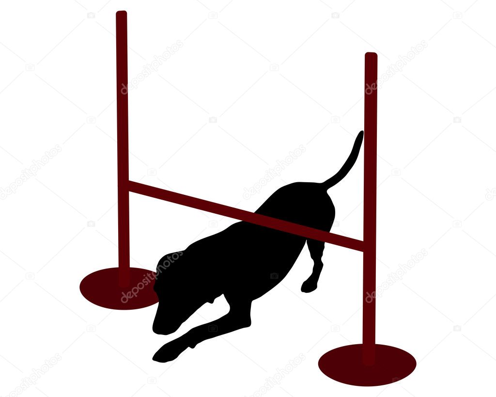 Dog agility: dog creeping under hurdle