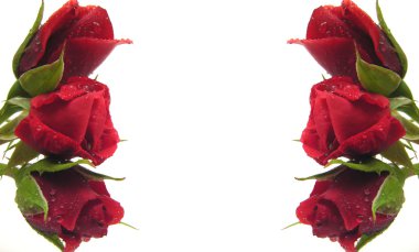 Red roses on the left and right side bu clipart