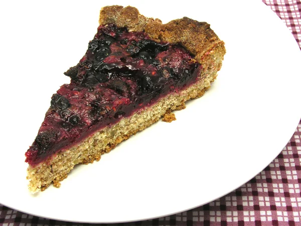 En bit av berry kaka på en vit platta — Stockfoto