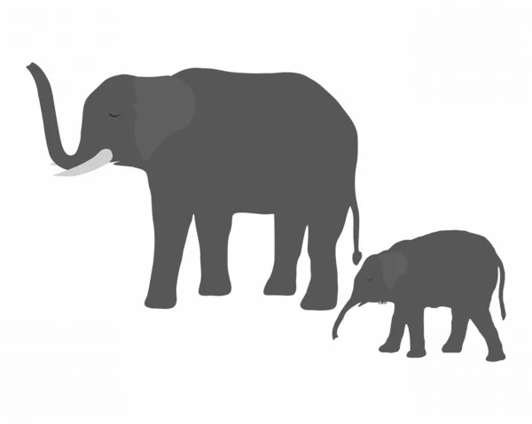 Tehén elefánt fiatal elefánt — Stock Fotó