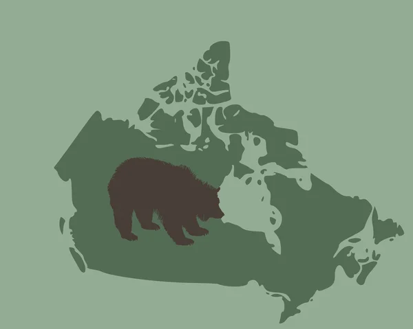 灰熊在加拿大 — 图库照片