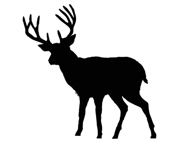 Černá silueta jelena na bílém pozadí — Stock fotografie