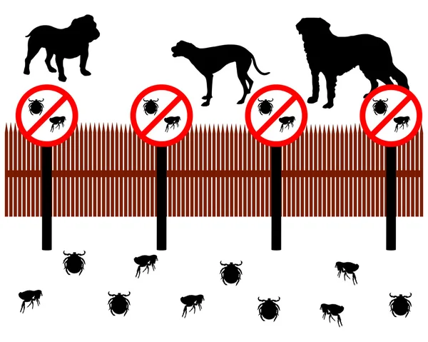 Cani dietro una recinzione per proteggere contro t — Foto Stock