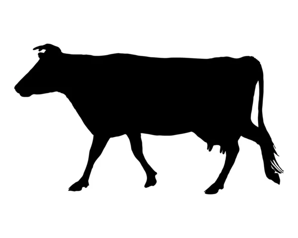 Het zwart silhouet van een koe op wit — Stockfoto