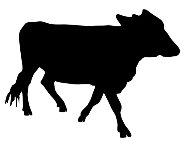 La silueta negra de una vaca sobre blanco — Foto de Stock