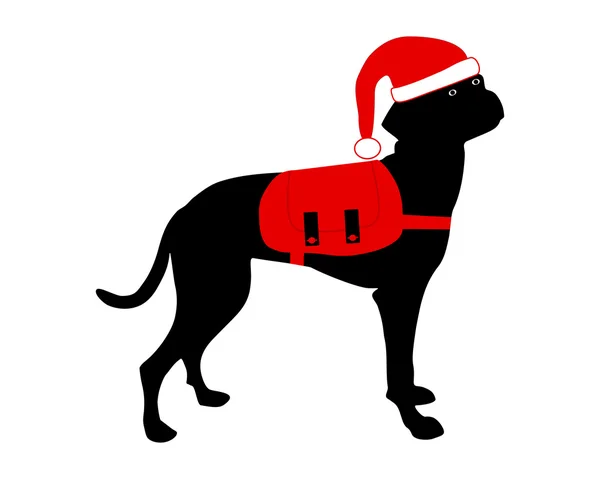 Pes s vánoční čepici a batoh — Stock fotografie