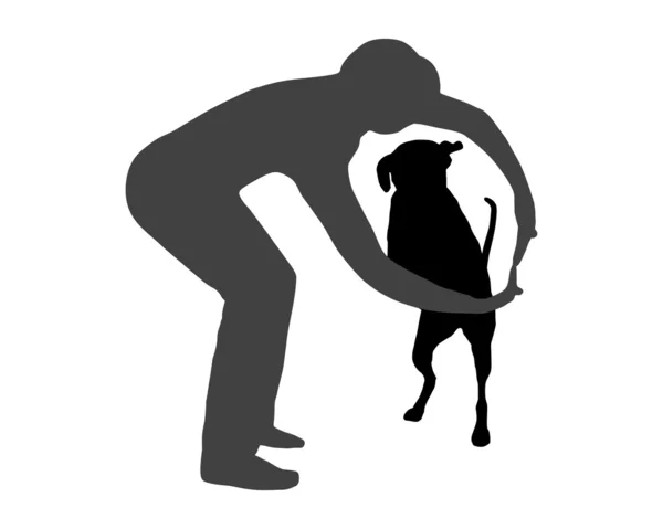 Agilidad del perro (obediencia): Comando: Saltar t — Foto de Stock
