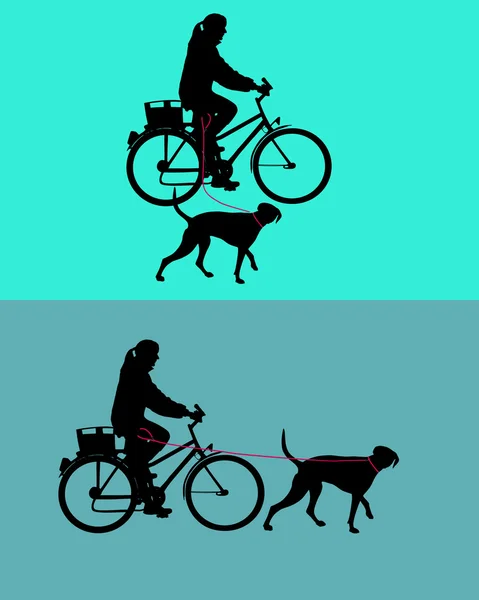 Women on bicycle with dogs on leash — Stock Photo, Image