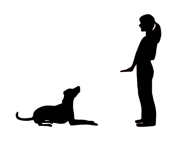 Treinamento de cães (obediência): comando sit do — Fotografia de Stock