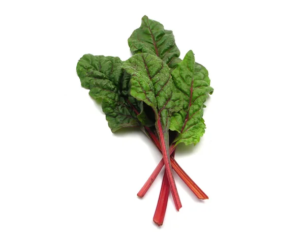 Four red stemmed chard leaves crossed on — Stock Photo, Image
