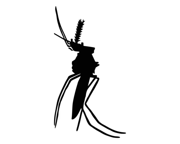 Wh 蚊の黒いシルエット — ストック写真