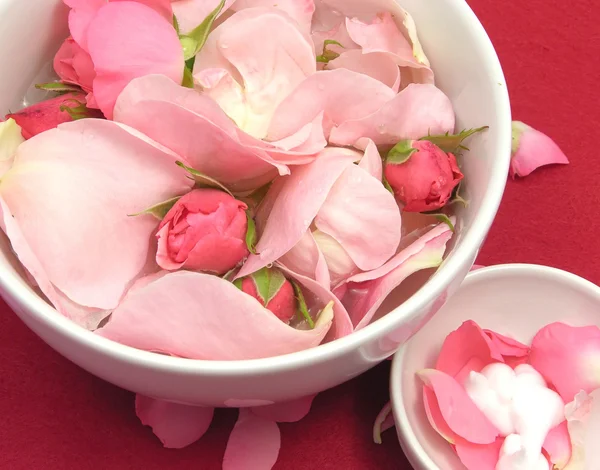Pink roses and cream in white bowls of — Stock Photo, Image