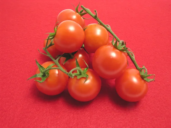Little tomatoes on twig and red placemat — Stok fotoğraf