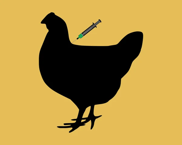 Hen gets an immunization against bird fl — Stock Photo, Image