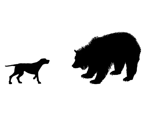 Two animals, setter and grizzly bear mee — Stock Photo, Image