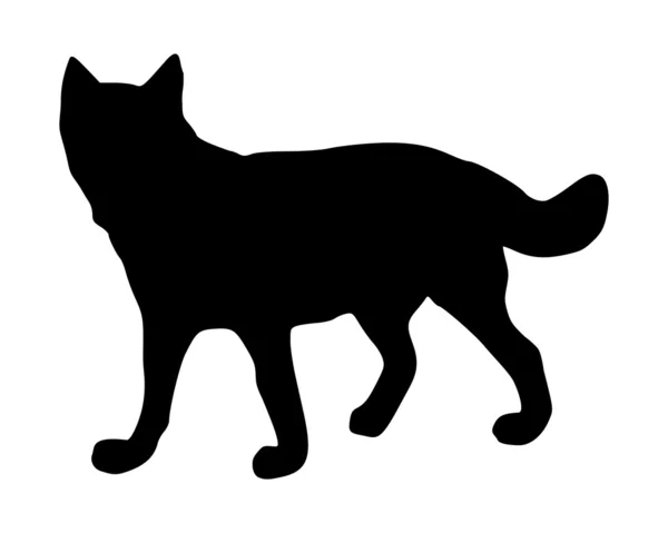The black silhouette of a wolf on white — Stock Photo, Image